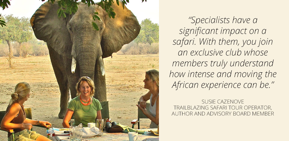 suziePostcard Safari Directions Africa